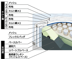 J-concept SFF-JUS �}�b�g���X�@�f�ʐ}