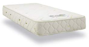 �����x�b�h�@�p�[�t�H���C�g�p���[�V�X�e���}�b�g���X